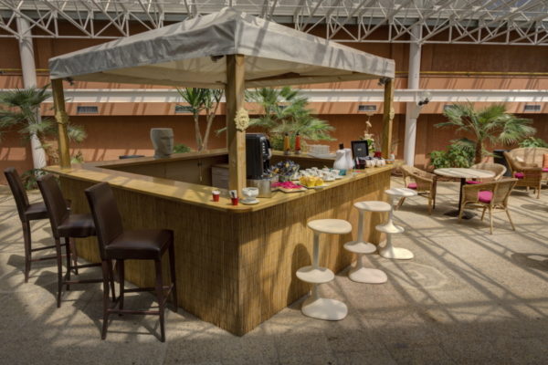 Jardin d'Hiver Hotel Arles Plaza