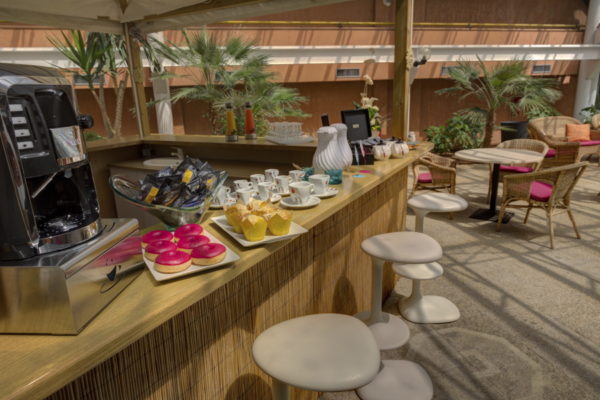 Jardin d'Hiver Hotel Arles Plaza