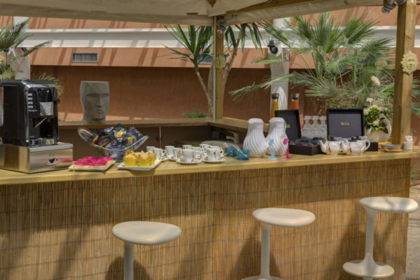 Jardin d'Hiver Hotel Arles Plaza