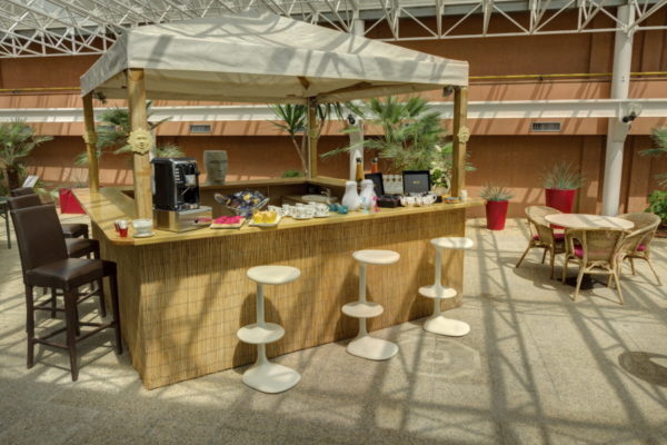 Jardin d'Hiver Hotel Arles Plaza