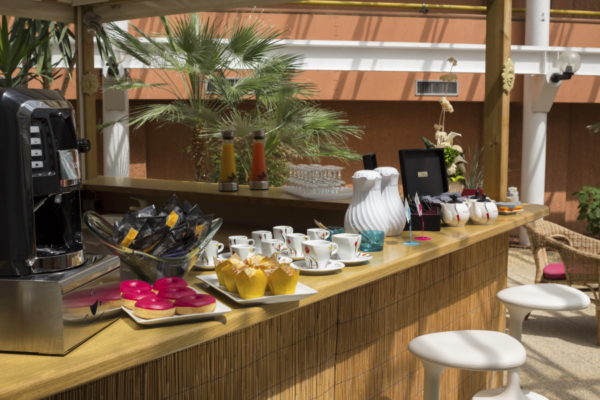 Jardin d'Hiver Hotel Arles Plaza