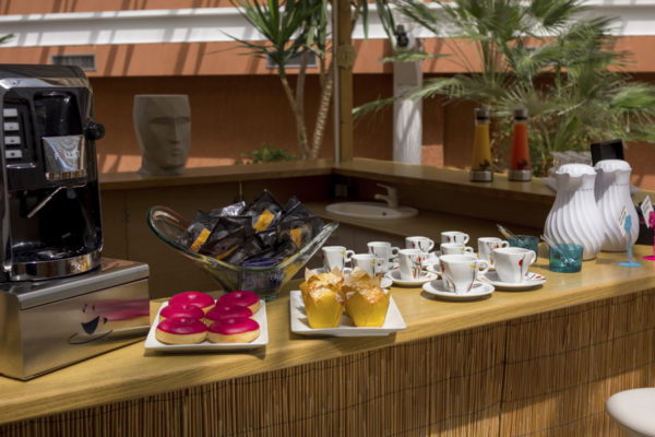 Jardin d'Hiver Hotel Arles Plaza