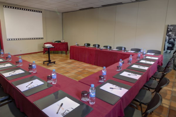 Salle REFLEX4 Hotel Arles Plaza